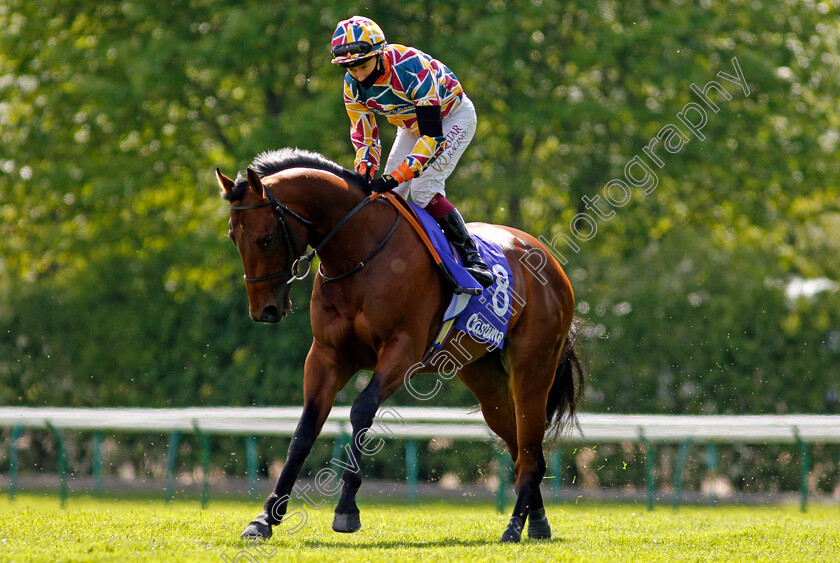 The-Lir-Jet-0001 
 THE LIR JET (Oisin Murphy)
Haydock 22 May 2021 - Pic Steven Cargill / Racingfotos.com