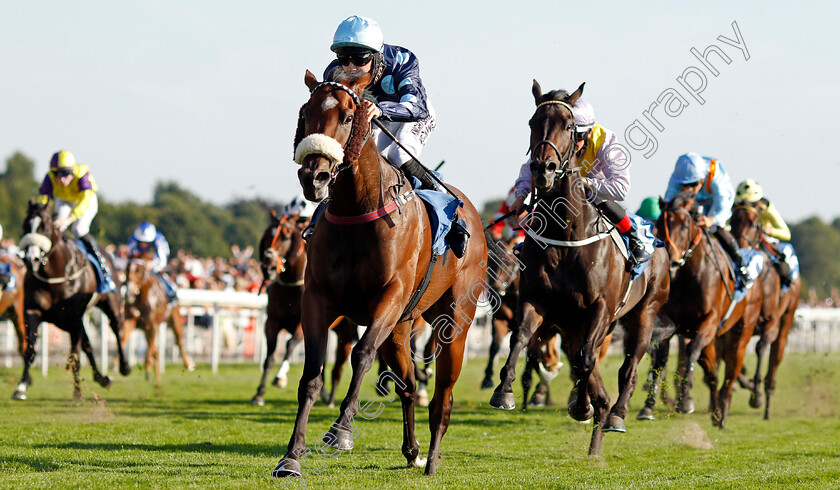 Que-Amoro-0004 
 QUE AMORO (Phil Dennis) wins The Sky Bet Apprentice Handicap
York 24 Aug 2019 - Pic Steven Cargill / Racingfotos.com