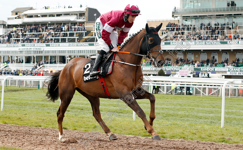 Felix-Desjy-0002 
 FELIX DESJY (Jack Kennedy) winner of The Betway Top Novices Hurdle
Aintree 5 Apr 2019 - Pic Steven Cargill / Racingfotos.com