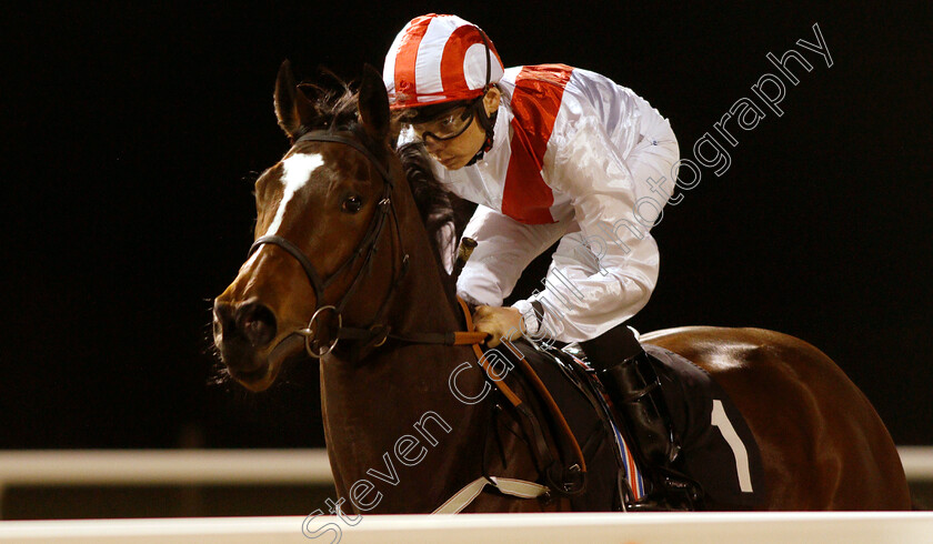 Distant-Mirage-0001 
 DISTANT MIRAGE (Callum Shepherd)
Chelmsford 29 Nov 2018 - Pic Steven Cargill / Racingfotos.com