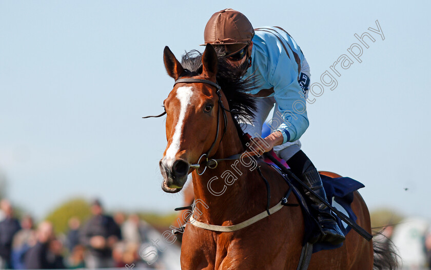 Dereham-0016 
 DEREHAM (Thore Hammer Hansen) wins The Quinnbet 25% Back As A Free Bet Handicap Div2
Yarmouth 19 May 2021 - Pic Steven Cargill / Racingfotos.com