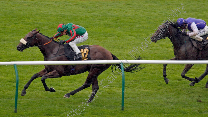 Terries-Royale-0003 
 TERRIES ROYALE (Tom Marquand) wins The Ultimate Provence Handicap
Newmarket 26 Sep 2024 - Pic Steven Cargill / Racingfotos.com