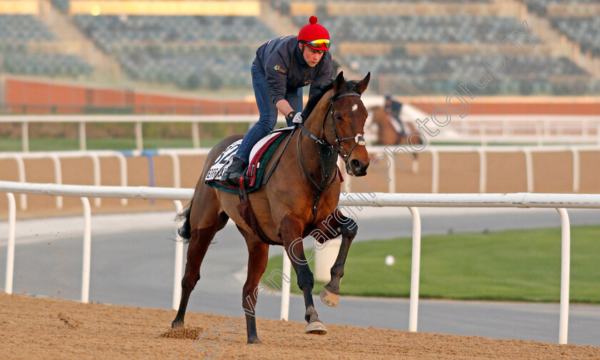 Pierre-Lapin-0001 
 PIERRE LAPIN exercising for trainer Adrian McGuinness
Meydan, Dubai, 3 Feb 2022 - Pic Steven Cargill / Racingfotos.com