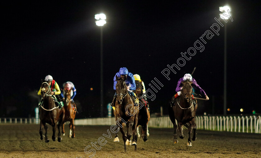 Rebel s-Romance-0003 
 REBEL'S ROMANCE (William Buick) beats ELEGANT MAN (right) in The Unibet Wild Flower Stakes
Kempton 13 Dec 2023 - Pic Steven Cargill / Racingfotos.com