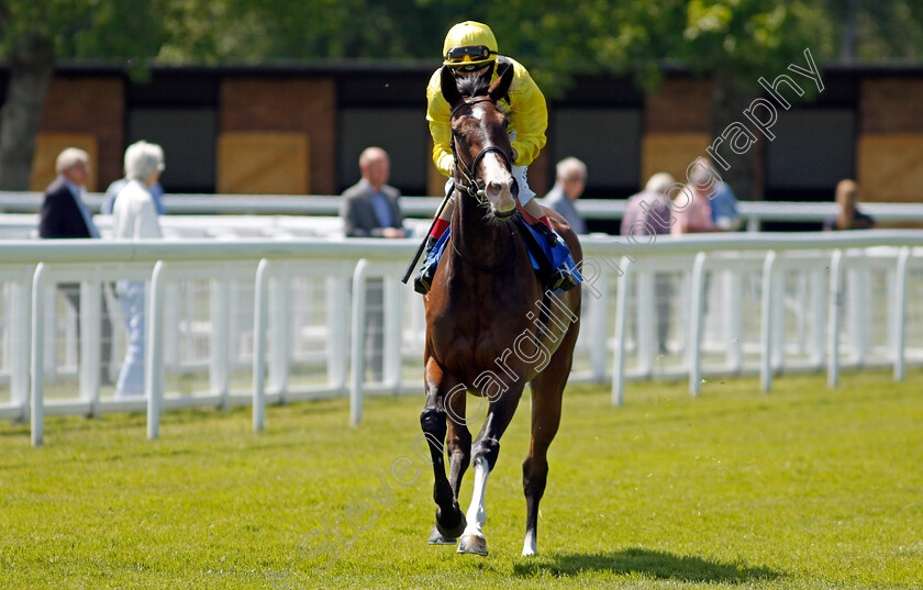 Morrooj-0002 
 MORROOJ (Andrea Atzeni)
Salisbury 8 Jun 2021 - Pic Steven Cargill / Racingfotos.com