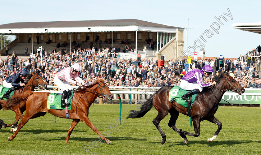 Mohawk-0004 
 MOHAWK (Donnacha O'Brien) beats SYDNEY OPERA HOUSE (left) in The Juddmonte Royal Lodge Stakes
Newmarket 29 Sep 2018 - Pic Steven Cargill / Racingfotos.com