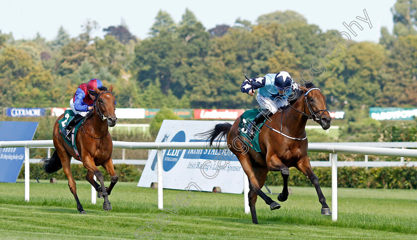 Kitty-Rose-0008 
 KITTY ROSE (Billy Lee) beats CONTENT (left) in The Ballylinch Stud Irish EBF Ingabelle Stakes
Leopardstown 9 Sep 2023 - Pic Steven Cargill / Racingfotos.com