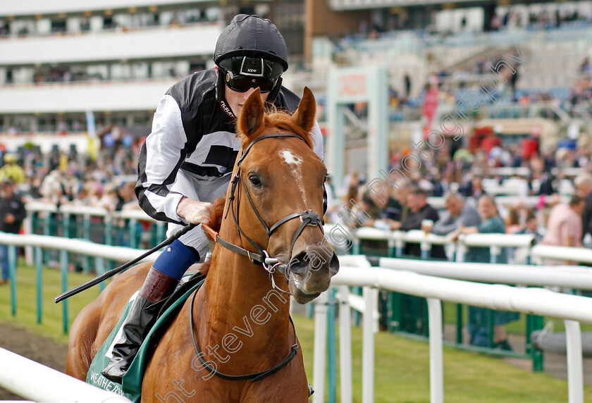 Legend-Of-Xanadu-0001 
 LEGEND OF XANADU (David Egan)
Doncaster 8 Sep 2022 - Pic Steven Cargill / Racingfotos.com