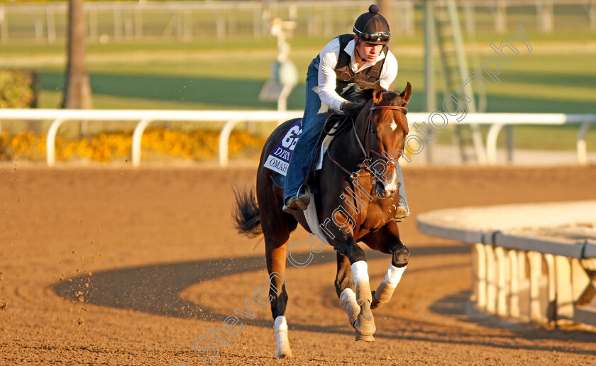 Omaha-Beach-0001 
 OMAHA BEACH training for The Breeders' Cup Dirt Mile
Santa Anita USA 31 Oct 2019 - Pic Steven Cargill / Racingfotos.com