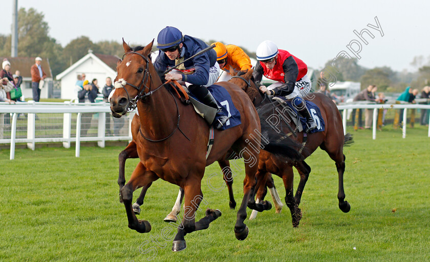 Pillars-Of-Earth-0004 
 PILLARS OF EARTH (Jack Mitchell) wins The Cazoo Handicap
Yarmouth 19 Oct 2021 - Pic Steven Cargill / Racingfotos.com