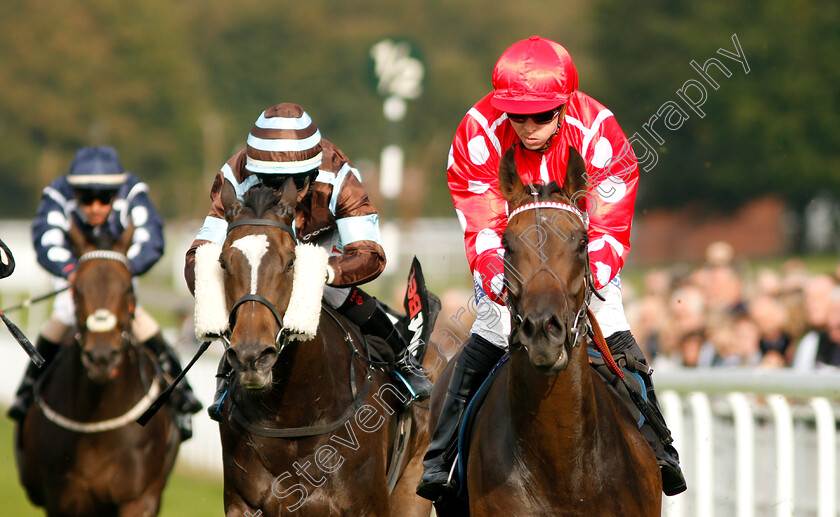 Curious-Fox-0004 
 CURIOUS FOX (David Probert) wins The Netbet Betmaker Fillies Handicap
Goodwood 4 Sep 2018 - Pic Steven Cargill / Racingfotos.com