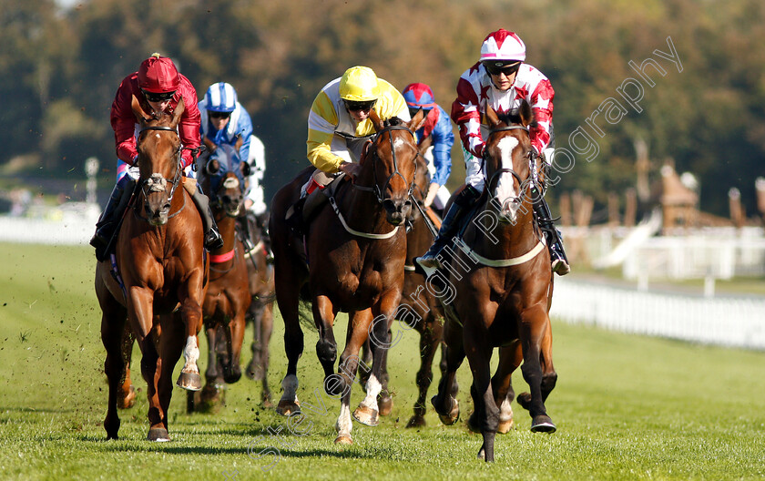 Enigmatic-0005 
 ENIGMATIC (Josephine Gordon) beats SOUTH SEAS (left) and SEDUCE ME (centre) in The Maltsmiths Optional Claiming Handicap
Goodwod 26 Sep 2018 - Pic Steven Cargill / Racingfotos.com