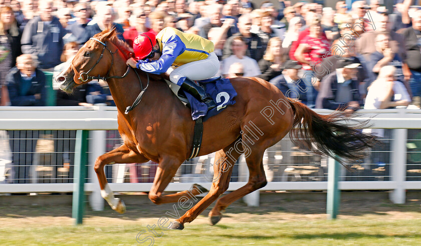 Restless-Rose-0003 
 RESTLESS ROSE (Marco Ghiani) wins The Youngs London Original Fillies Handicap
Yarmouth 18 Sep 2019 - Pic Steven Cargill / Racingfotos.com