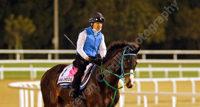 Dura-Erede-0001 
 DURA EREDE training for The UAE Derby
Meydan, Dubai, 22 Mar 2023 - Pic Steven Cargill / Racingfotos.com