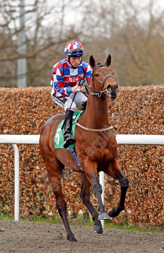 John-Betjeman-0001 
 JOHN BETJEMAN (Jason Watson) Kempton 7 Apr 2018 - Pic Steven Cargill / Racingfotos.com