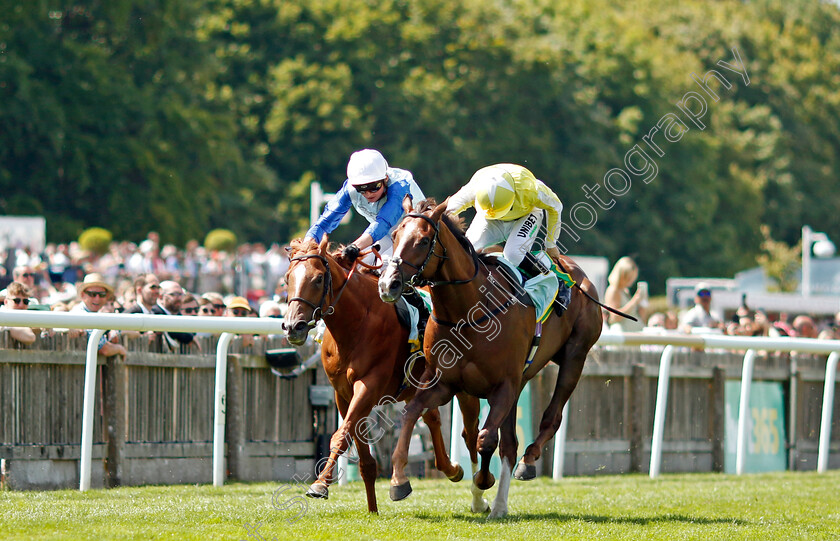 Jimi-Hendrix-0001 
 JIMI HENDRIX (left, Rob Hornby) beats POSITIVE IMPACT (right) in The bet365 Mile Handicap
Newmarket 9 Jul 2022 - Pic Steven Cargill / Racingfotos.com