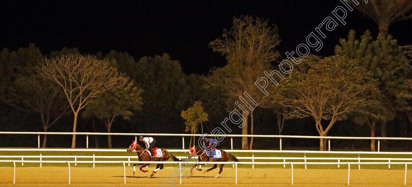 Panthalassa-and-Bathrat-Leon-0002 
 PANTHALASSA training for The Dubai World Cup ahead of BATHRAT LEON (right) training for The Godolphin Mile
Meydan, Dubai, 22 Mar 2023 - Pic Steven Cargill / Racingfotos.com