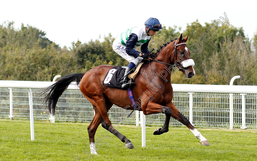 Le-Don-De-Vie-0001 
 LE DON DE VIE (Oisin Murphy)
Goodwood 4 Sep 2018 - Pic Steven Cargill / Racingfotos.com