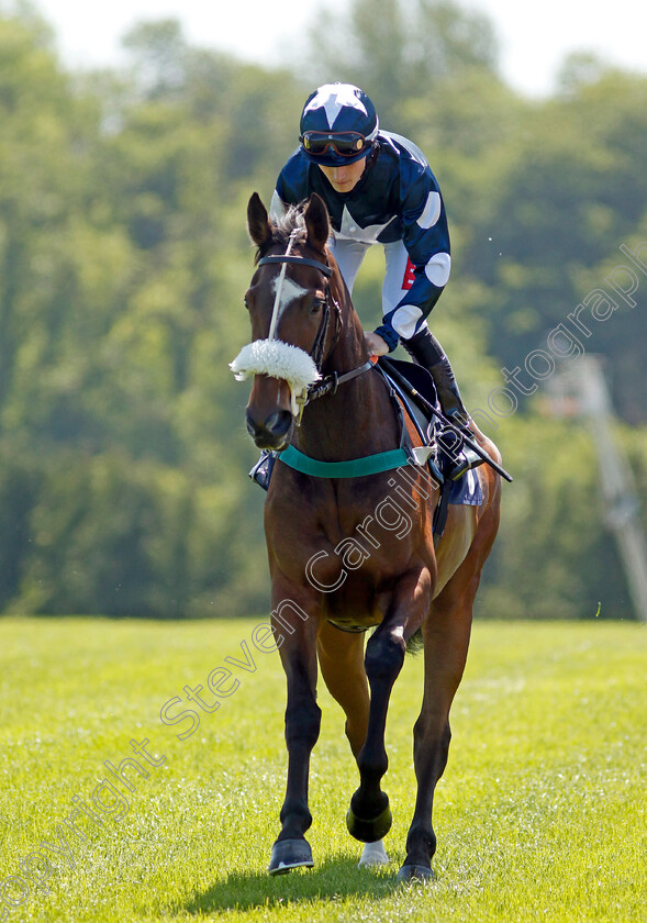 Steppes 
 STEPPES (Tyler Heard)
Chepstow 27 May 2022 - Pic Steven Cargill / Racingfotos.com