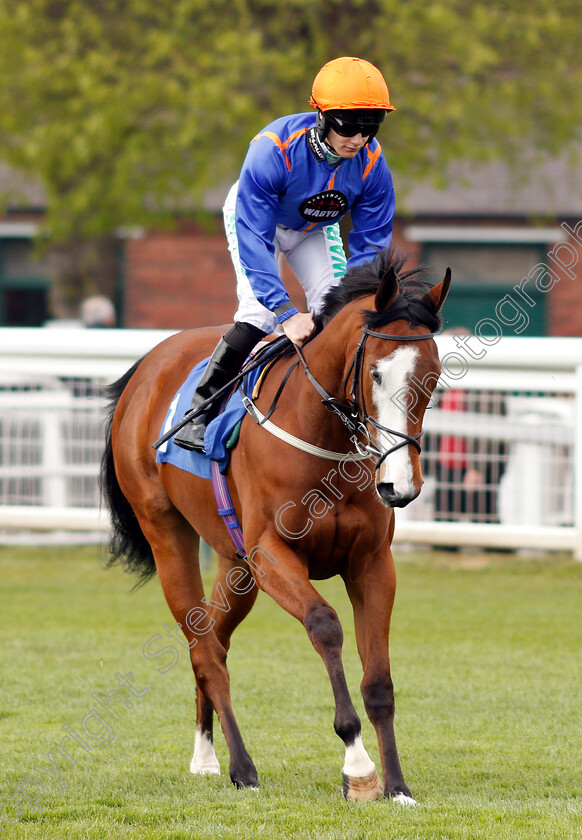 Apache-Bay-0002 
 APACHE BAY (Jason Hart)
Nottingham 30 Apr 2019 - Pic Steven Cargill / Racingfotos.com