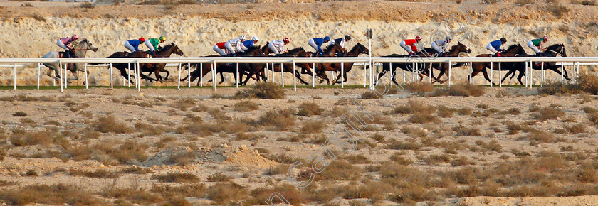 Lord-Glitters-0022 
 LORD GLITTERS (Jason Watson) in last place during The Bahrain International Trophy
Sakhir Racecourse, Bahrain 19 Nov 2021 - Pic Steven Cargill / Racingfotos.com