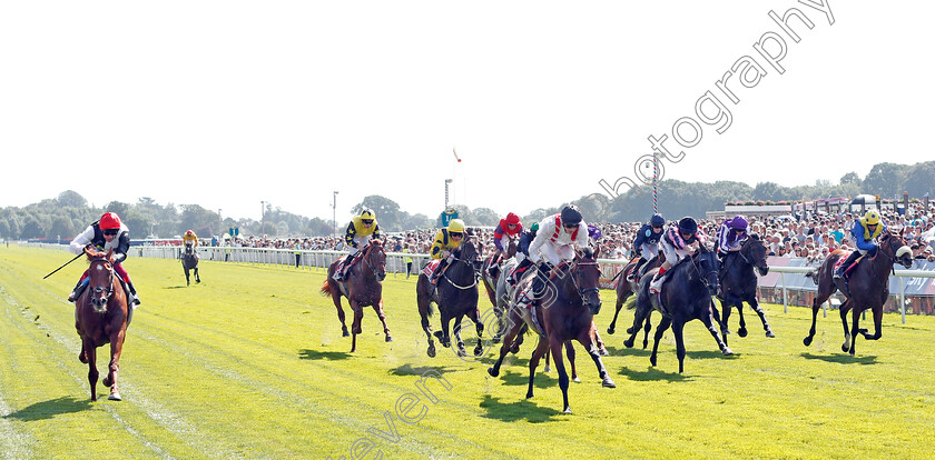 Hamish-0001 
 HAMISH (James Doyle) wins The Sky Bet Melrose Stakes
York 24 Aug 2019 - Pic Steven Cargill / Racingfotos.com