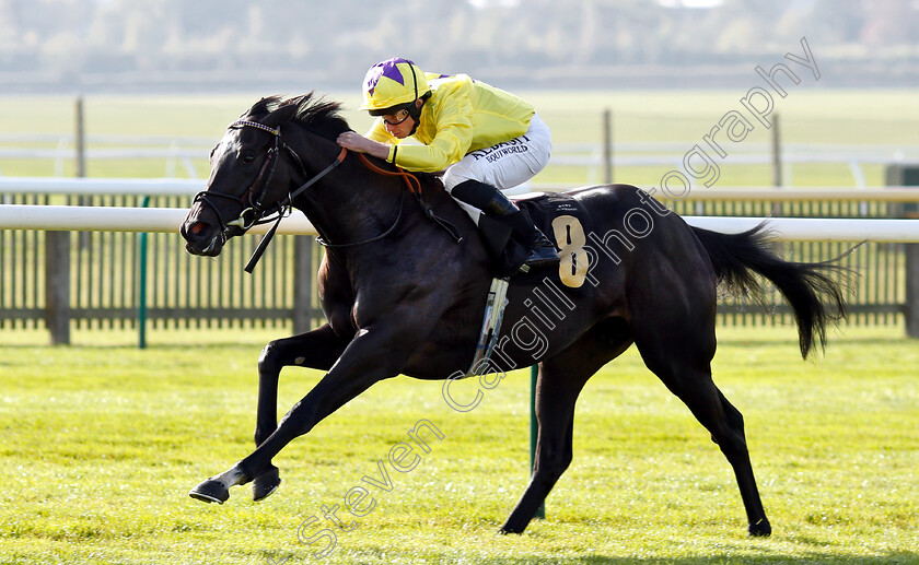 Rainbow-Heart-0004 
 RAINBOW HEART (Ryan Moore) wins The Shepherd Compello & EPG Fillies Novice Median Auction Stakes Div1
Newmarket 24 Oct 2018 - Pic Steven Cargill / Racingfotos.com