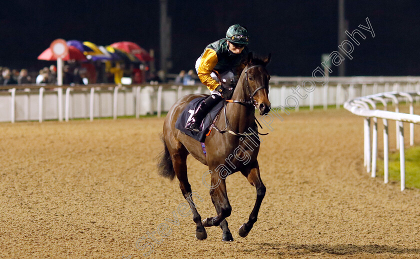 Aoife s-Thunder-0001 
 AOIFE'S THUNDER (Kieran Shoemark)
Wolverhampton 20 Dec 2024 - Pic Steven Cargill / Racingfotos.com