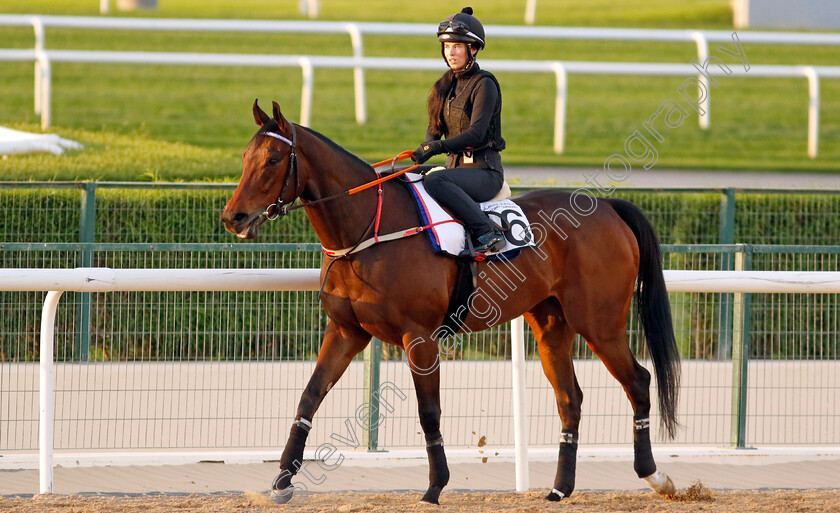 Good-Fortune-0001 
 GOOD FORTUNE training at the Dubai Racing Carnival
Meydan 1 Mar 2024 - Pic Steven Cargill / Racingfotos.com