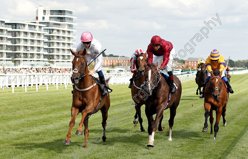 What-A-Welcome-0003 
 WHAT A WELCOME (left, Joey Haynes) beats SKY EAGLE (centre) and CLIFFS OF DOVER (right) in The Big Group Insight Hanidcap
Newbury 17 Aug 2018 - Pic Steven Cargill / Racingfotos.com