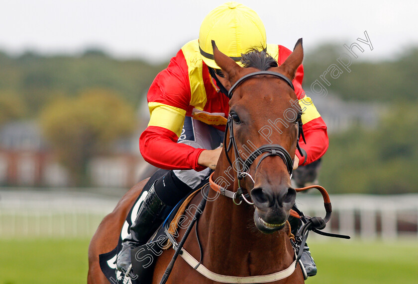 Data-Protection-0005 
 DATA PROTECTION (Nicola Currie) wins The Betway Handicap
Sandown 23 Aug 2020 - Pic Steven Cargill / Racingfotos.com