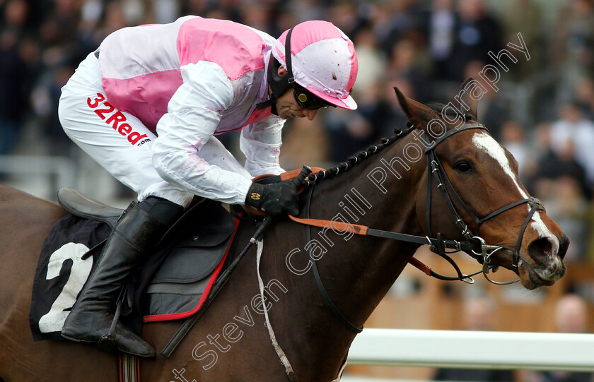 Ask-Dillon-0010 
 ASK DILLON (Paddy Brennan) wins The Eventmasters.co.uk Maiden Hurdle
Ascot 21 Dec 2018 - Pic Steven Cargill / Racingfotos.com