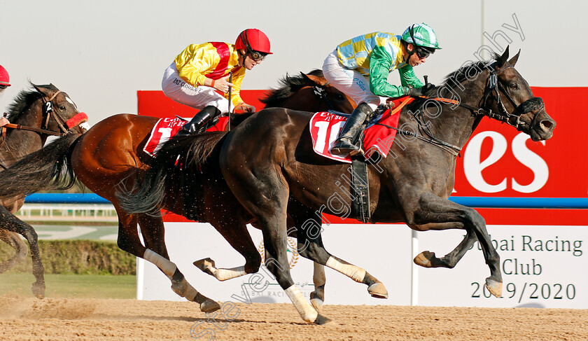 Wafy-0007 
 WAFY (Tadhg O'Shea) wins The Mahab Al Shimaal
Meydan 7 Mar 2020 - Pic Steven Cargill / Racingfotos.com