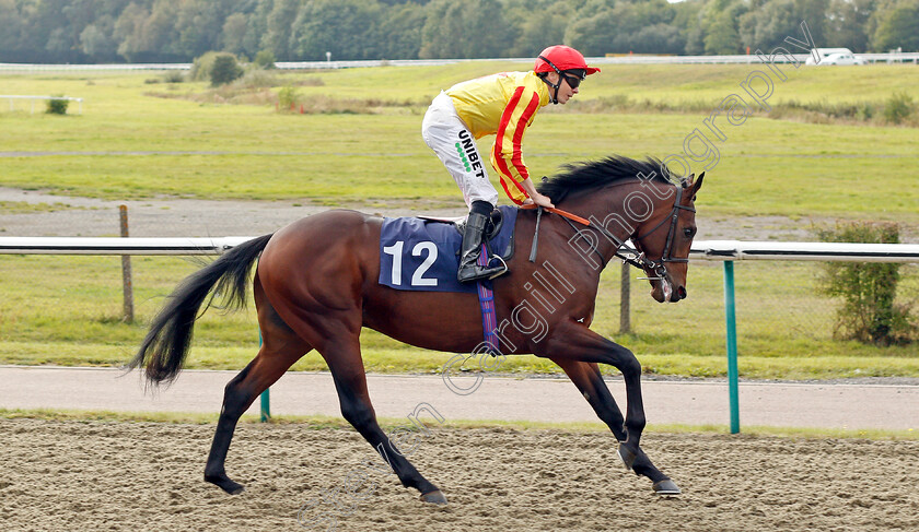 Rovaniemi-0002 
 ROVANIEMI (Jamie Spencer) winner of The starsportsbet.co.uk EBF Novice Stakes
Lingfield 3 Oct 2019 - Pic Steven Cargill / Racingfotos.com