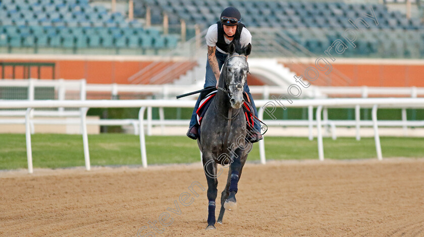 Spirit-Of-Light-0003 
 SPIRIT OF LIGHT training at the Dubai World Cup Carnival
Meydan 5 Jan 2023 - Pic Steven Cargill / Racingfotos.com