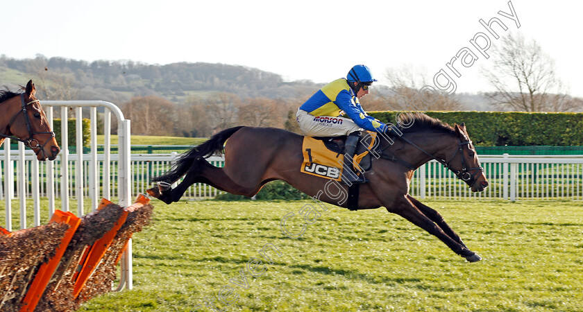 Langer-Dan-0001 
 LANGER DAN (Harry Skelton)
Cheltenham 14 Dec 2019 - Pic Steven Cargill / Racingfotos.com