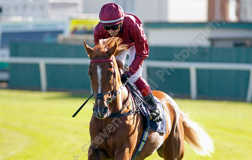 Shiva-Shakti-0002 
 SHIVA SHAKTI (Frankie Dettori)
Yarmouth 18 Oct 2022 - Pic Steven Cargill / Racingfotos.com