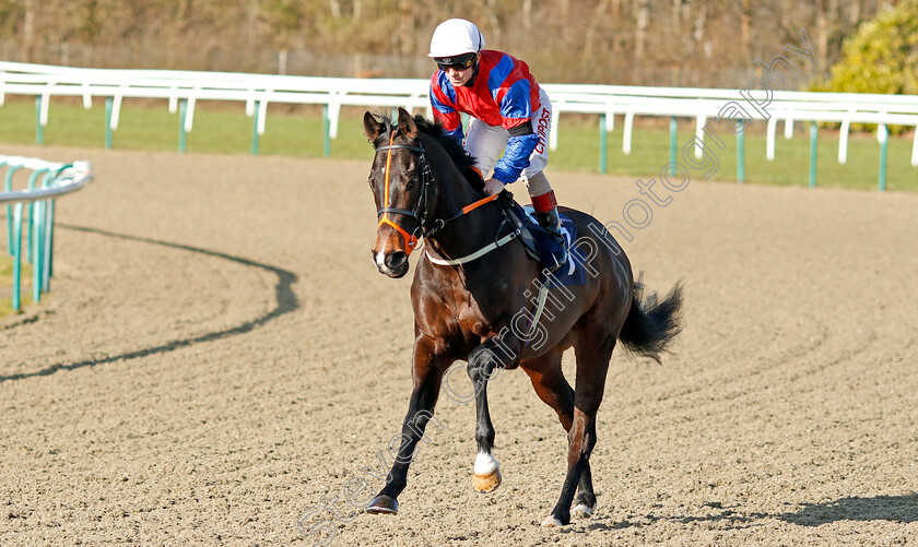 Clashaniska-0001 
 CLASHANISKA (Franny Norton)
Lingfield 8 Feb 2020 - Pic Steven Cargill / Racingfotos.com