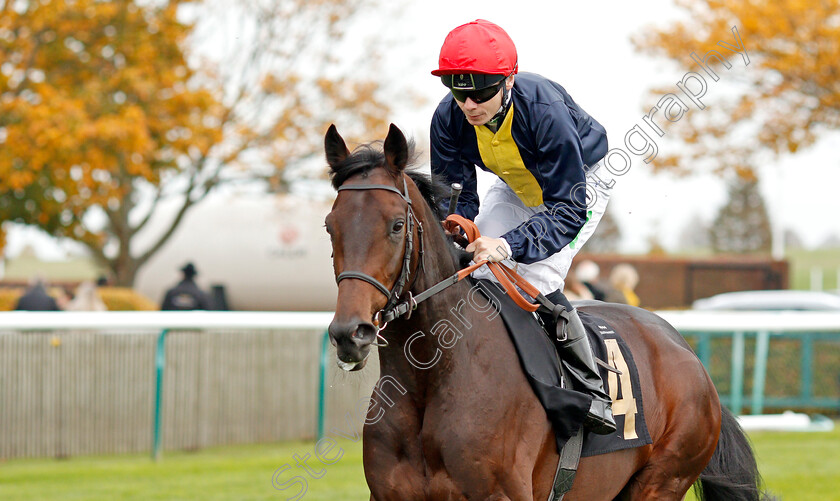 Brentford-Hope-0001 
 BRENTFORD HOPE (Jamie Spencer) before The Coates & Seely Brut Reserve Maiden Stakes
Newmarket 23 Oct 2019 - Pic Steven Cargill / Racingfotos.com