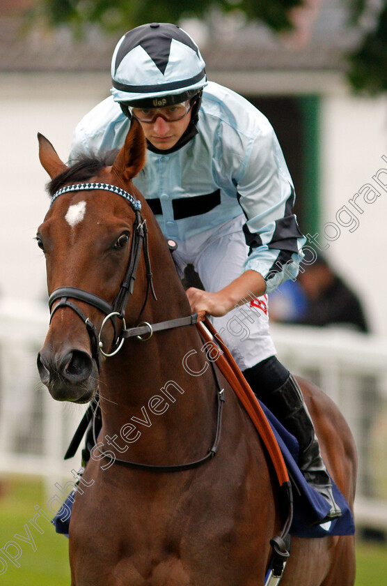 Maglev-0003 
 MAGLEV (Tom Marquand) winner of The British Stallion Studs EBF Novice Stakes
Yarmouth 1 Jul 2021 - Pic Steven Cargill / Racingfotos.com