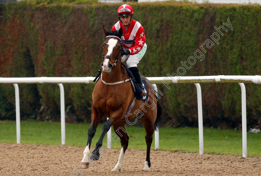 Rich-Approach-0001 
 RICH APPROACH (Josephine Gordon) winner of The Ladbrokes Home Of The Fixed Odds Nursery
Wolverhampton 28 Nov 2018 - Pic Steven Cargill / Racingfotos.com