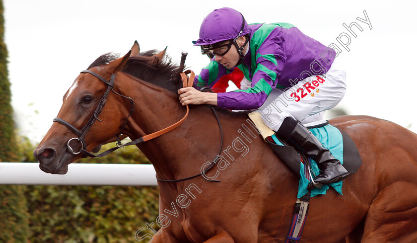 Querelle-0005 
 QUERELLE (Jamie Spencer) wins The Starsports.bet British Stallion Studs EBF Fillies Novice Stakes 
Kempton 15 Aug 2018 - Pic Steven Cargill / Racingfotos.com