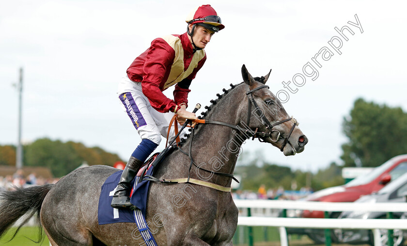 Corsican-Caper-0001 
 CORSICAN CAPER (Daniel Muscutt)
Yarmouth 13 Sep 2022 - Pic Steven Cargill / Racingfotos.com