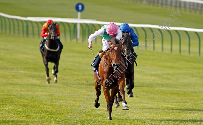 Nostrum-0005 
 NOSTRUM (Ryan Moore) wins The Tattersalls Stakes
Newmarket 22 Sep 2022 - Pic Steven Cargill / Racingfotos.com