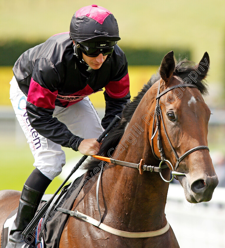 Zulu-Zander-0001 
 ZULU ZANDER (P J McDonald)
Goodwood 31 Jul 2019 - Pic Steven Cargill / Racingfotos.com