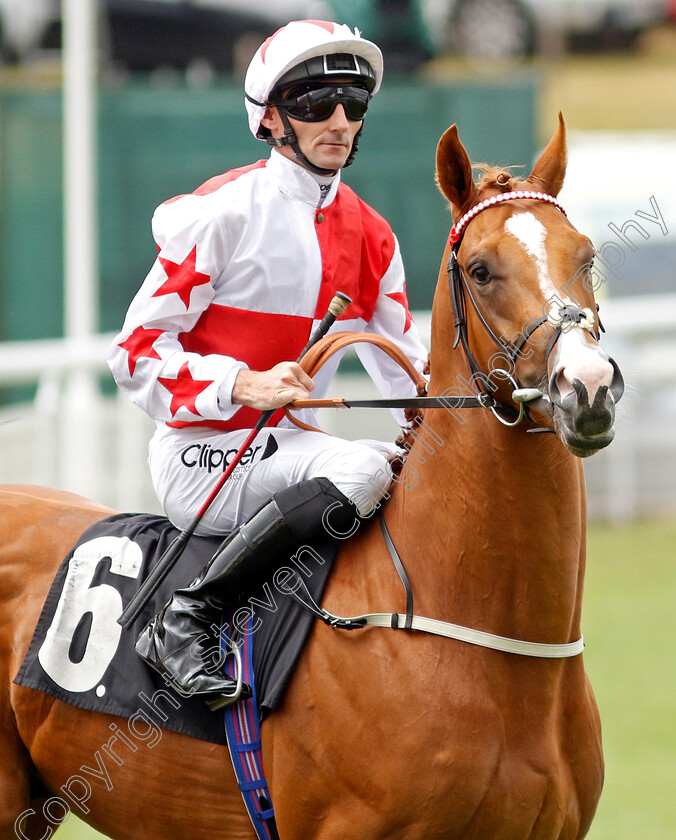 Holloway-Boy-0001 
 HOLLOWAY BOY (Daniel Tudhope)
Goodwood 26 Jul 2022 - Pic Steven Cargill / Racingfotos.com