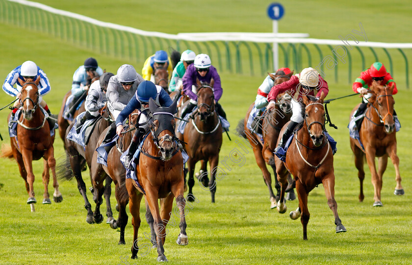 Commissioning-0007 
 COMMISSIONING (Robert Havlin) beats RAGE OF BAMBY (right) in The Al Basti Equiworld Dubai Rockfel Stakes
Newmarket 23 Sep 2022 - Pic Steven Cargill / Racingfotos.com