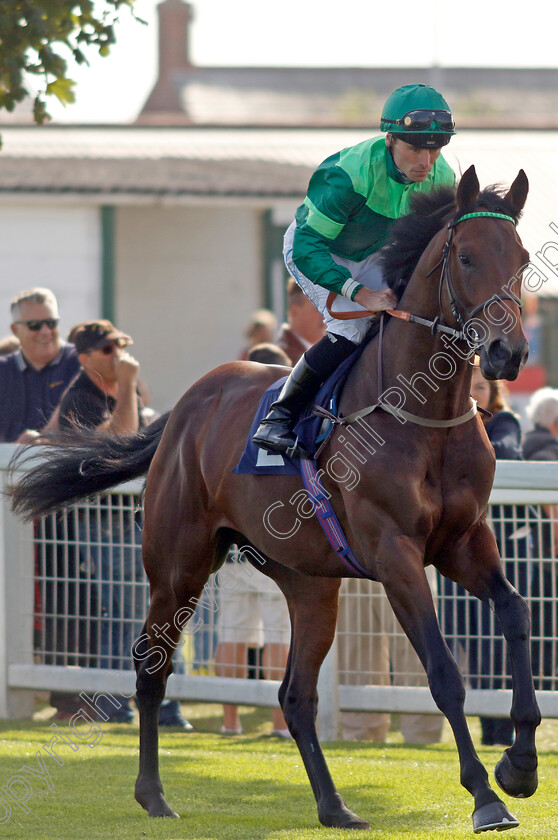 Balticum-0001 
 BALTICUM (Kieran Shoemark)
Yarmouth 18 Sep 2024 - Pic Steven Cargill / Racingfotos.com