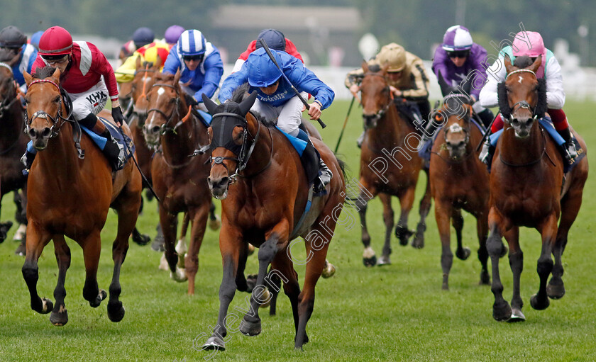 Noble-Truth-0003 
 NOBLE TRUTH (William Buick) wins The Jersey Stakes
Royal Ascot 18 Jun 2022 - Pic Steven Cargill / Racingfotos.com