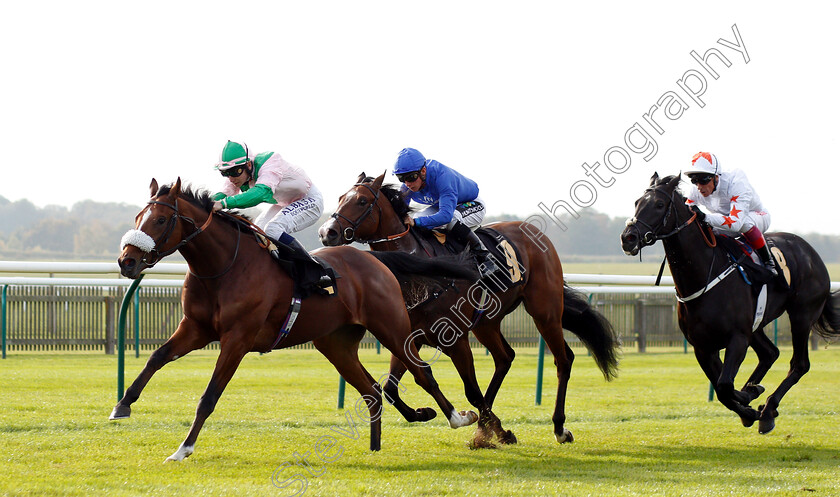 Bell-Rock-0002 
 BELL ROCK (Oisin Murphy) beats LIGHT AND DARK (centre) and KING ADEMAR (right) in The Willow Novice Stakes
Newmarket 24 Oct 2018 - Pic Steven Cargill / Racingfotos.com